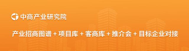 智能视觉行业市场前景预测研究报告麻将胡了app2025年中国汽车(图14)